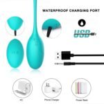 Kitty Kegel Vibrator - Image 4