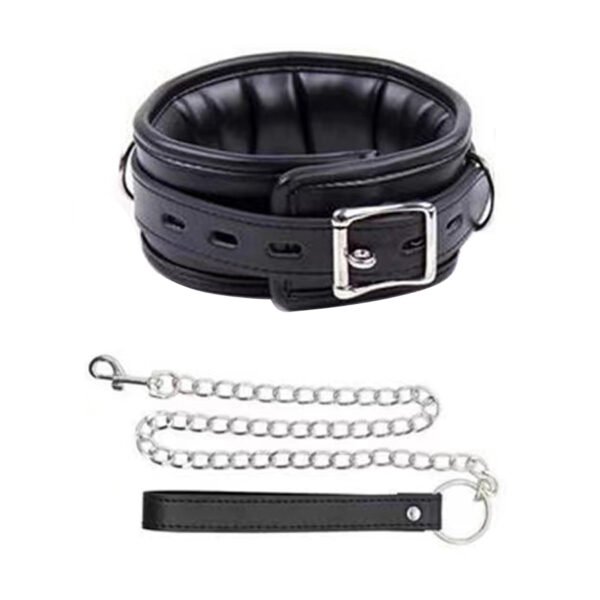 Leash and Collar - Image 3